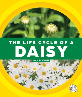 The Life Cycle of a Daisy