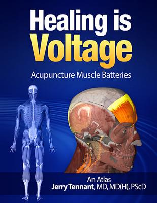 Healing is Voltage: Acupuncture Muscle Batteries