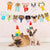 Miomu Decoración de Cumpleaños para Perro