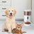 Steren Dispensador de Alimentos Smart Wi-Fi para Mascotas con Cámara