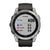 Garmin Smartwatch Fenix 7 Standard Edition