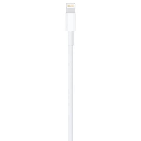 Apple Cable Lightning a USB Macho, 2 Metros