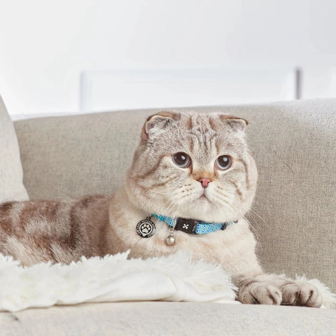 Max & Molly Collar Inteligente para Gatos, Retro Blue
