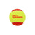 Wilson Set de Bolas de Tenis Starter, 36 Piezas