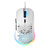 Sharkoon Mouse Alámbrico Gaming Light 180