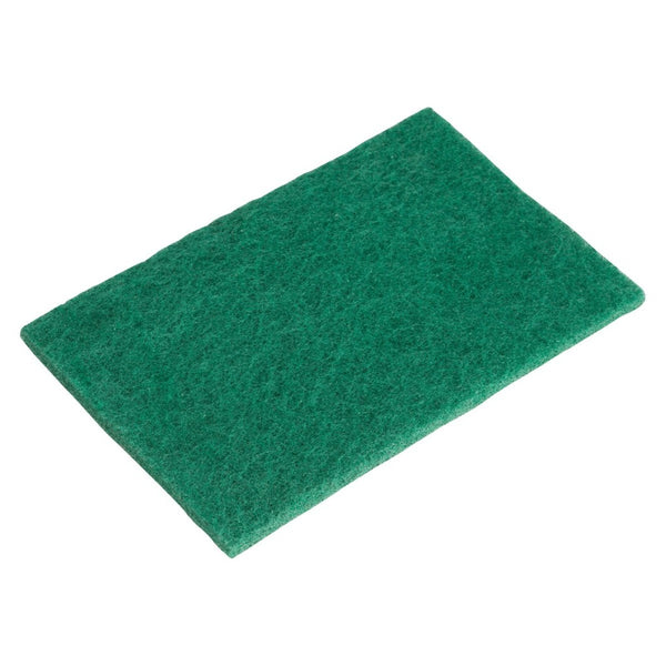 Winco Set Esponjas de Nylon Verde, 6 Unidades