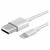 Argom Cable Lightning a USB, 1 Metro